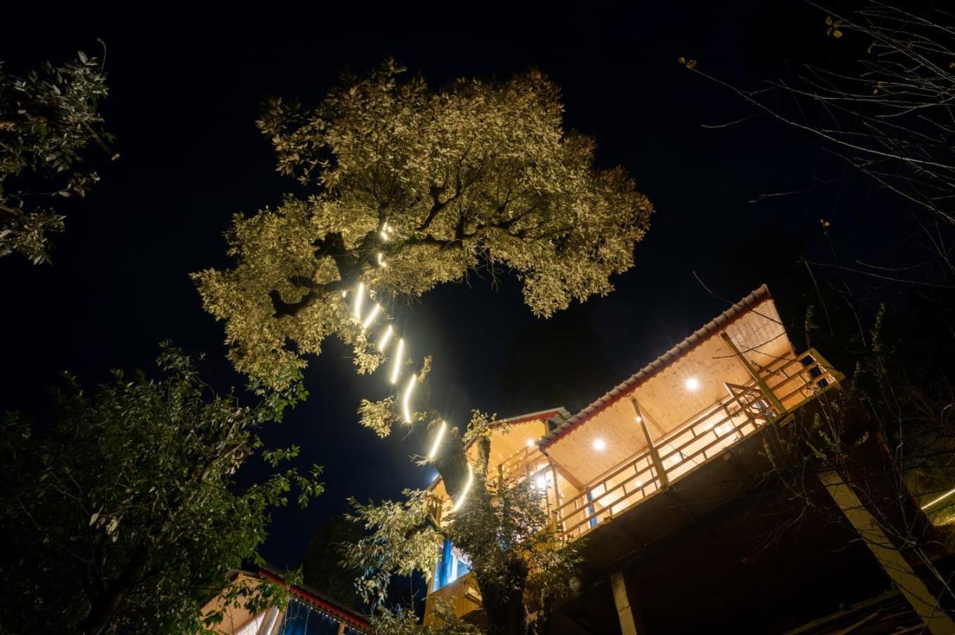 Villa Into The Woods Treehouse Jibhi Extérieur photo